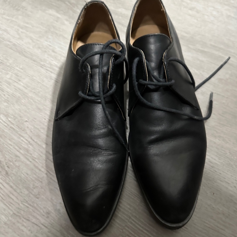Everlane The Modern Oxford sz. 7.5